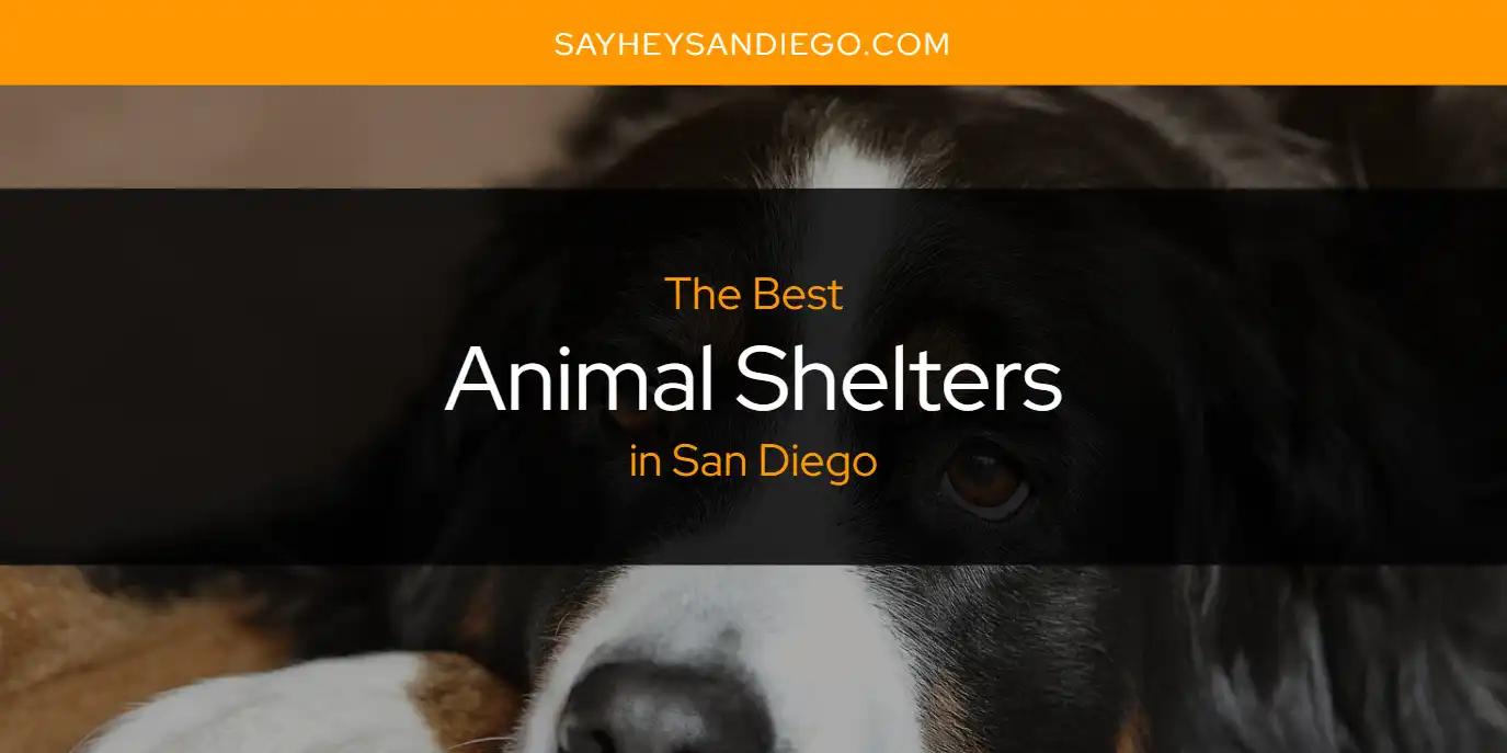 San Diego's Best Animal Shelters [Updated 2025]