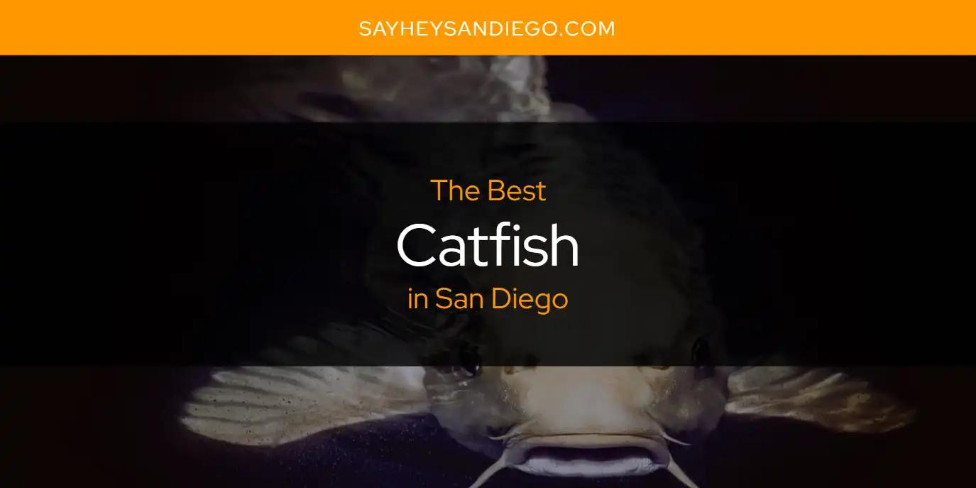 San Diego's Best Catfish [Updated 2024]