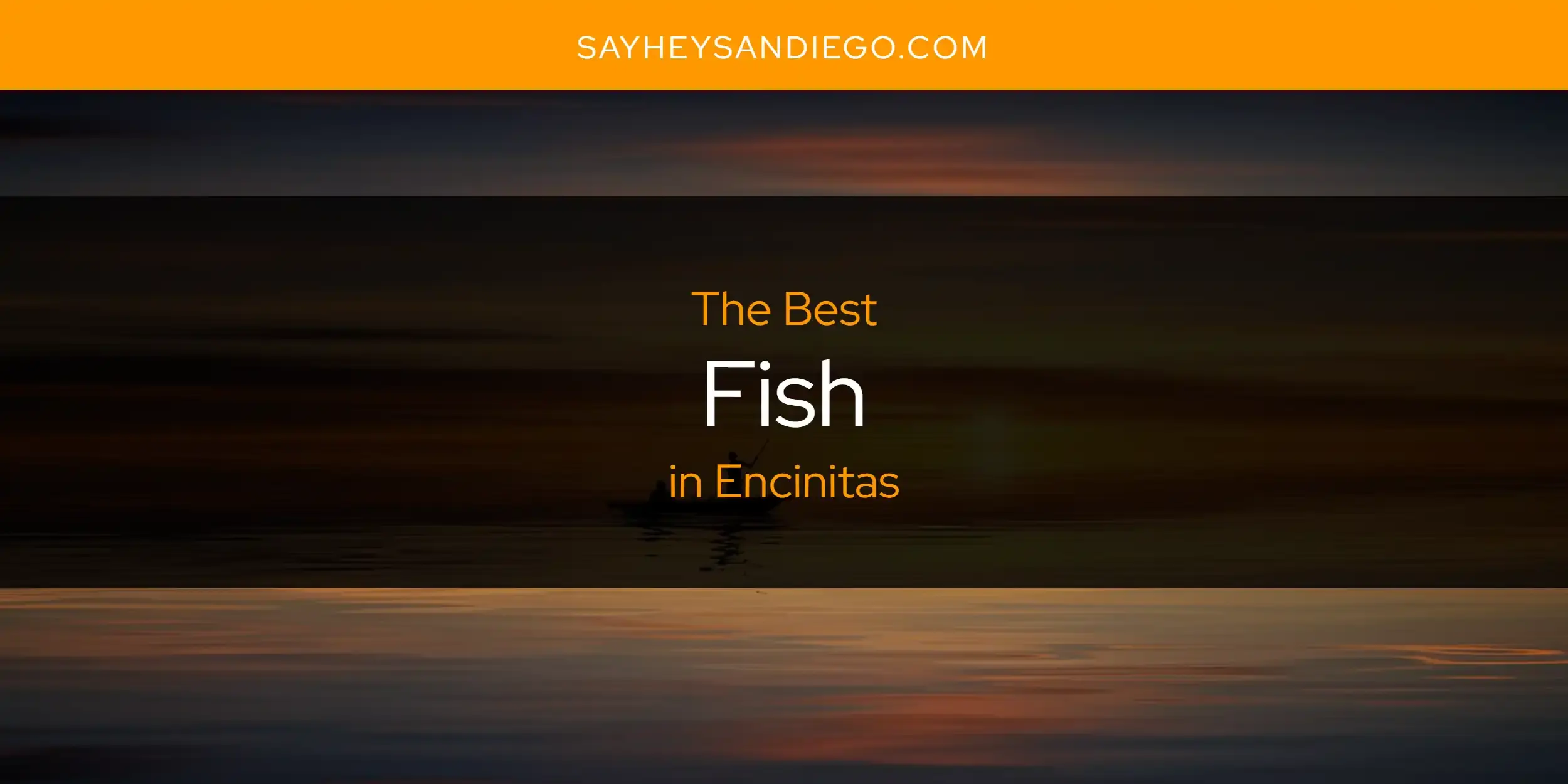 The Absolute Best Fish in Encinitas  [Updated 2024]
