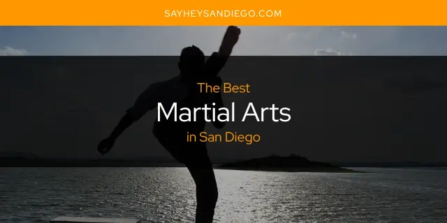 San Diego's Best Martial Arts [Updated 2024]
