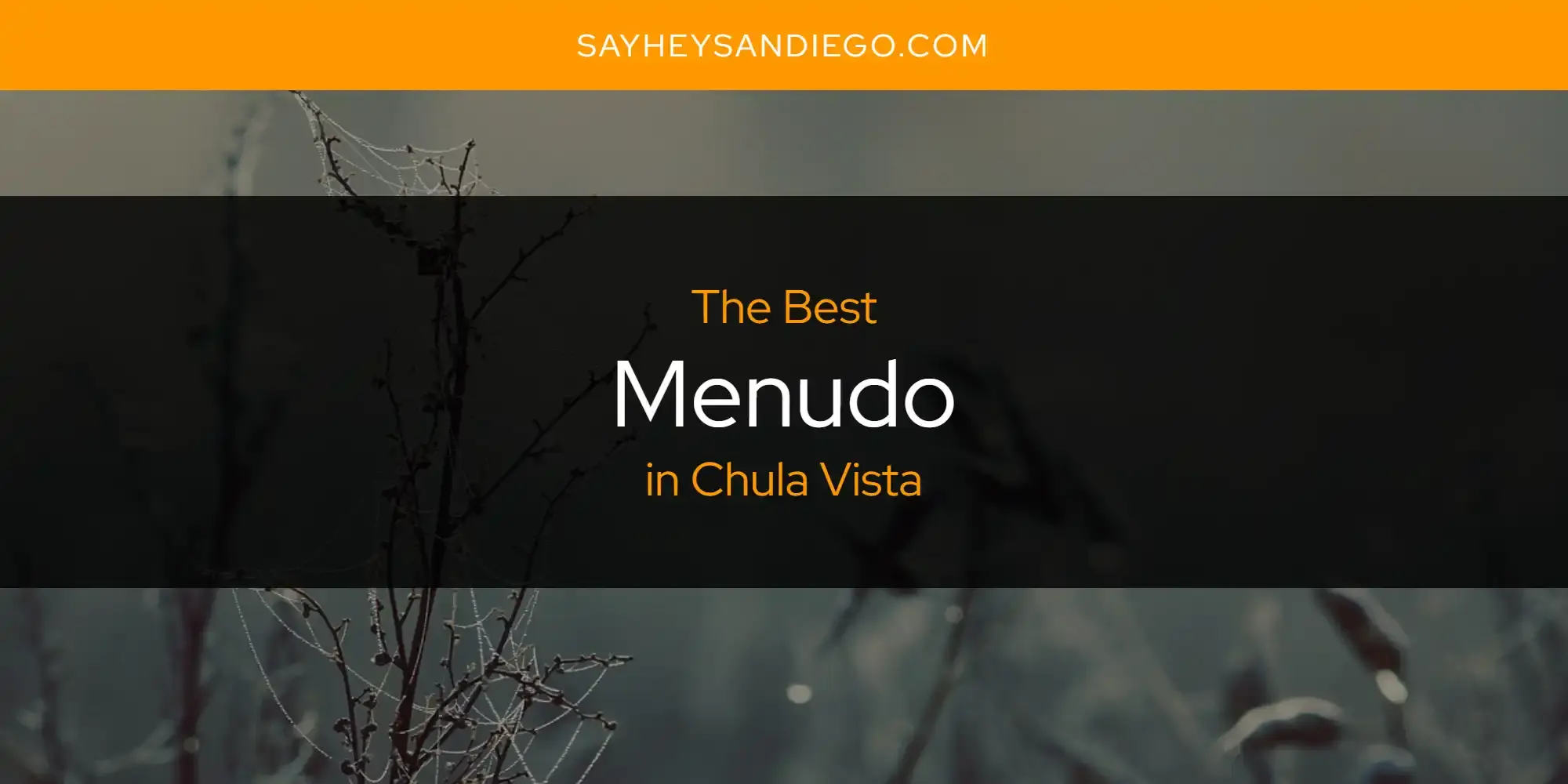 Chula Vista's Best Menudo [Updated 2024]