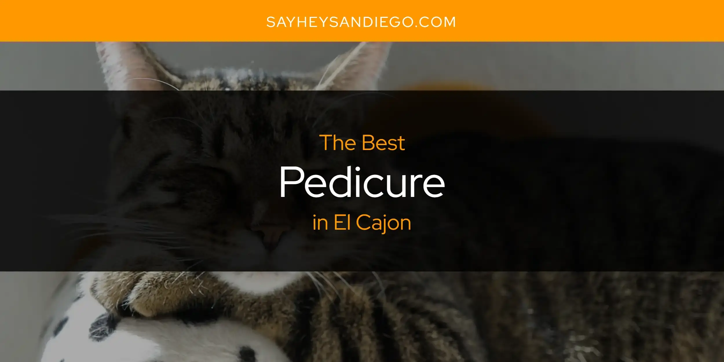 El Cajon's Best Pedicure [Updated 2024]
