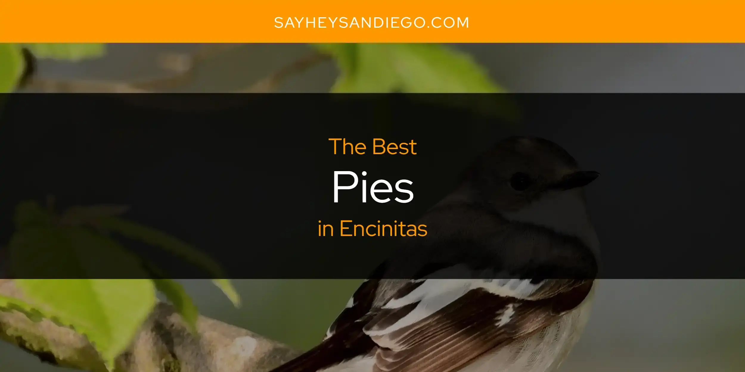 Encinitas' Best Pies [Updated 2024]