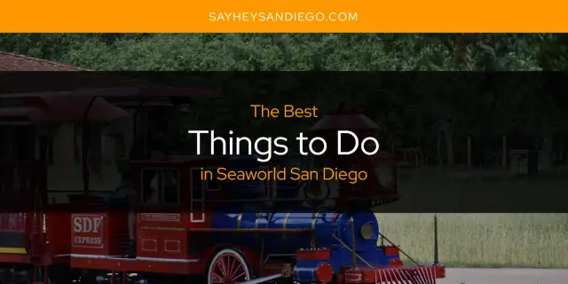 Seaworld San Diego's Best Things to Do [Updated 2024]