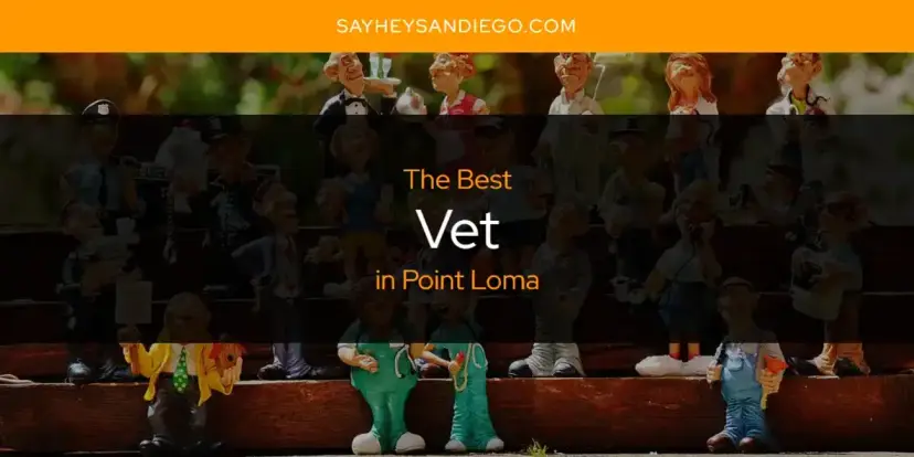 Point Loma's Best Vet [Updated 2024]