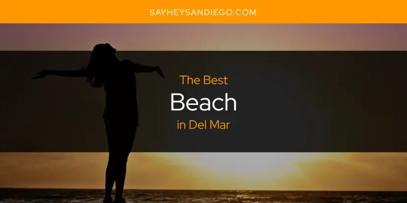 The Absolute Best Beach in Del Mar  [Updated 2024]