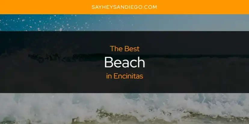 The Absolute Best Beach in Encinitas  [Updated 2024]