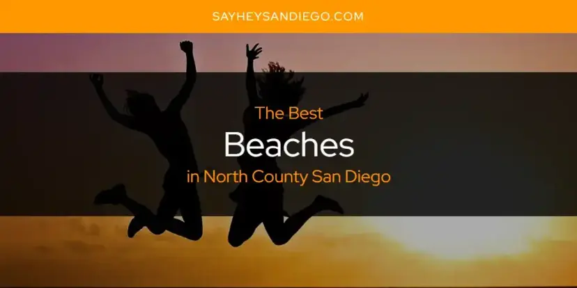 The Absolute Best Beaches in North County San Diego  [Updated 2024]