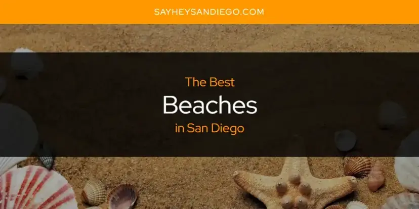 The Absolute Best Beaches in San Diego  [Updated 2024]
