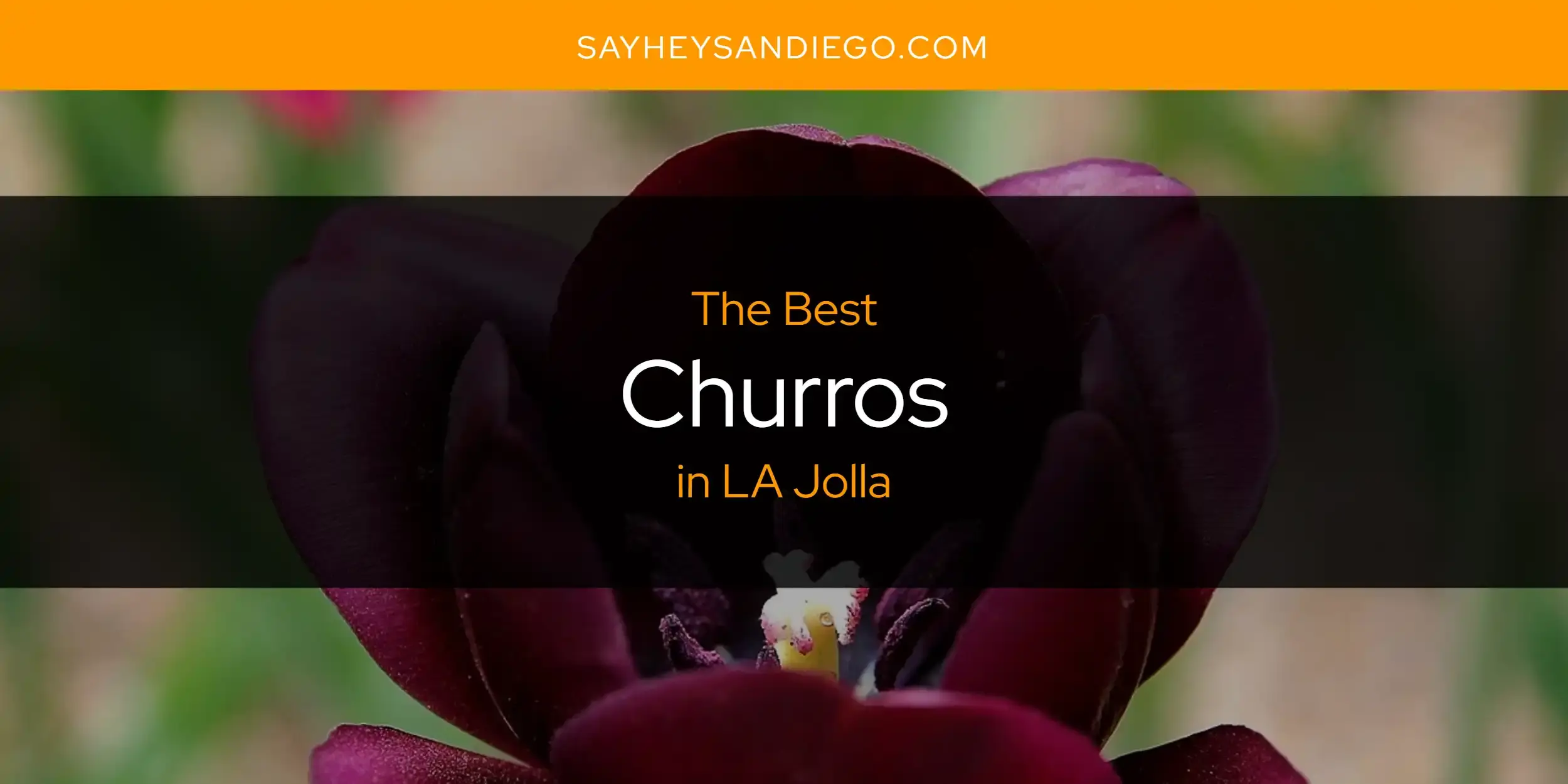 The Absolute Best Churros in LA Jolla  [Updated 2023]