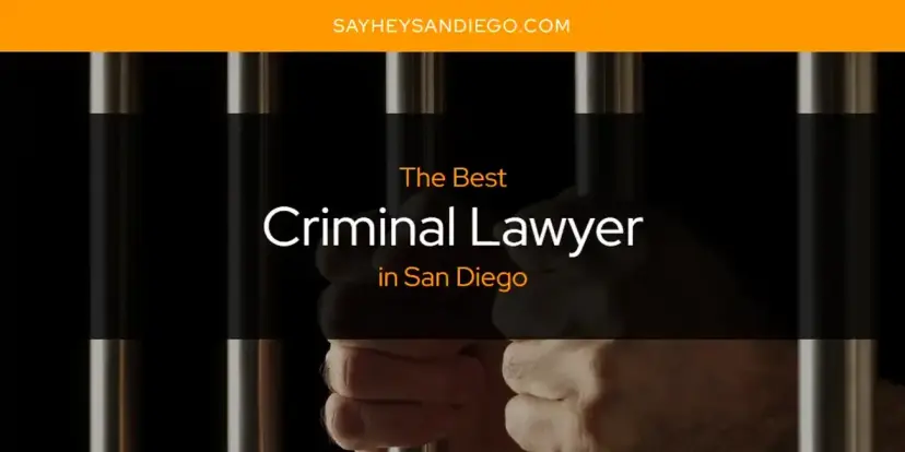 The Absolute Best Criminal Lawyer in San Diego  [Updated 2024]