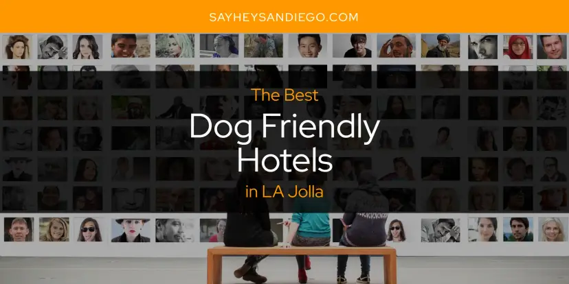 The Absolute Best Dog Friendly Hotels in LA Jolla  [Updated 2024]