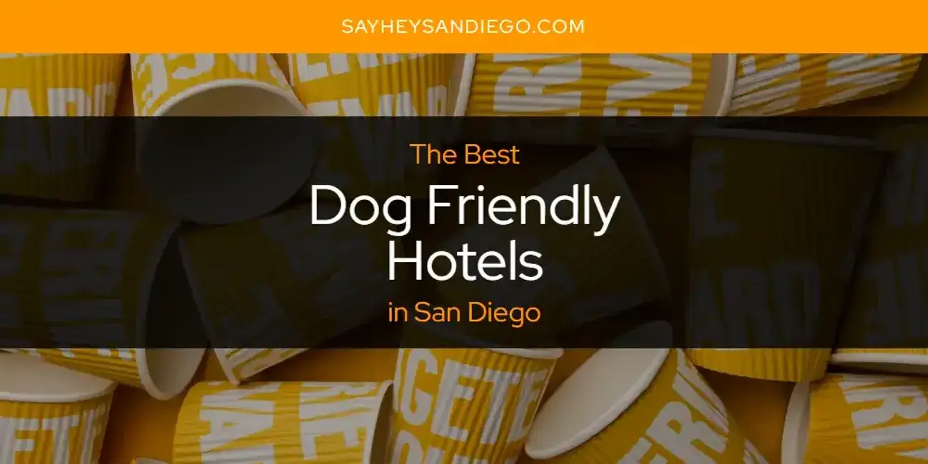 The Absolute Best Dog Friendly Hotels in San Diego  [Updated 2024]