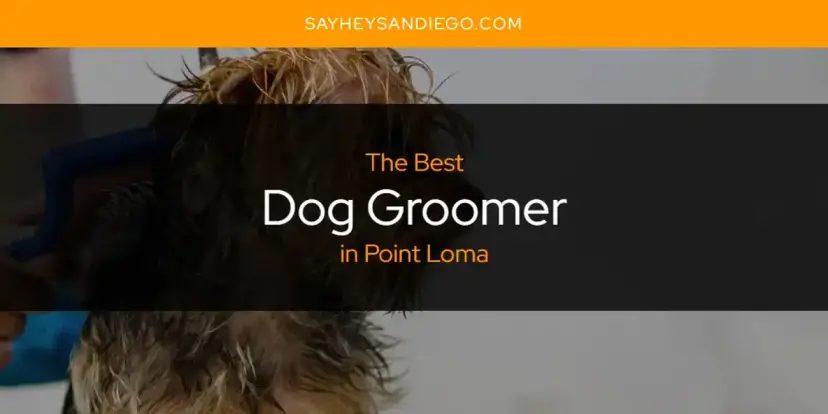 The Absolute Best Dog Groomer in Point Loma  [Updated 2024]