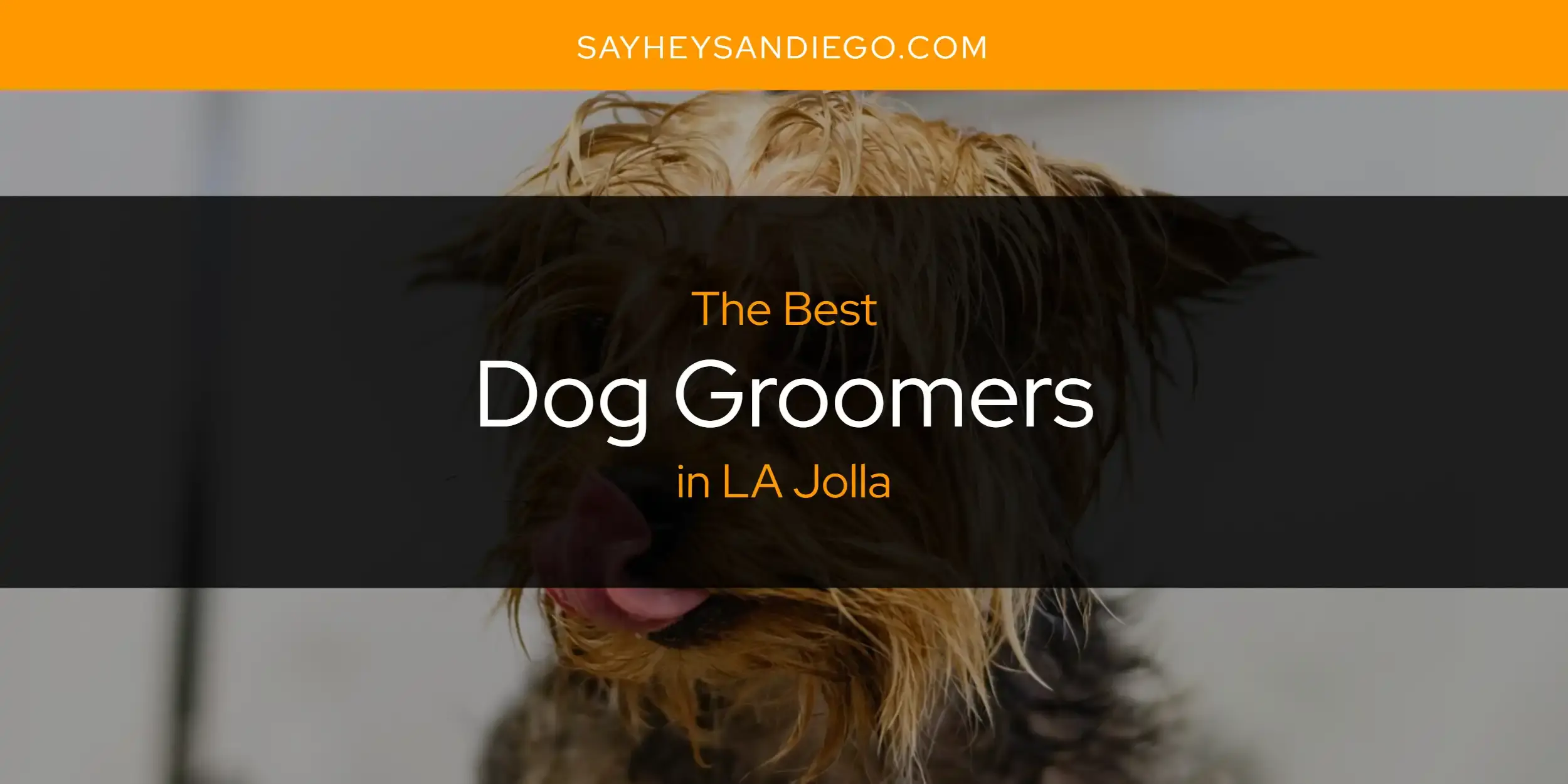 The Absolute Best Dog Groomers in LA Jolla  [Updated 2024]