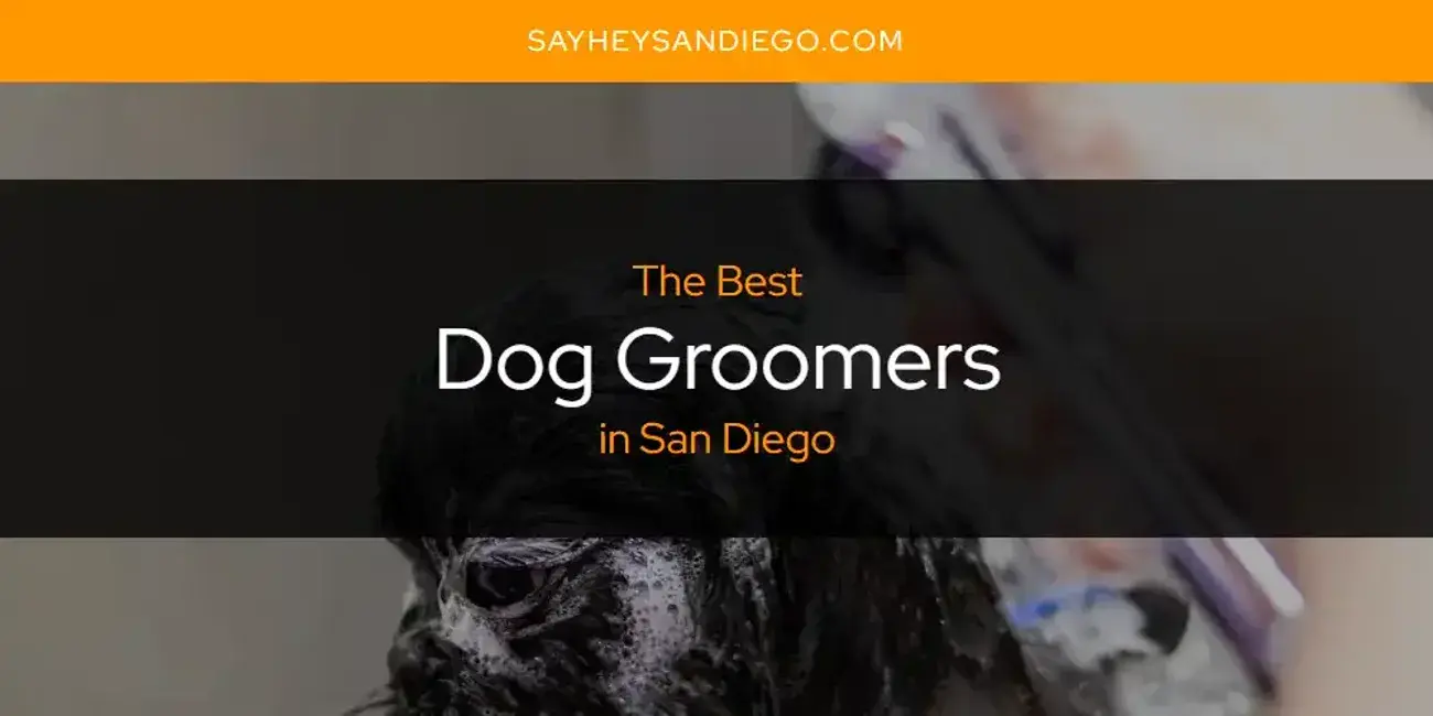 The Absolute Best Dog Groomers in San Diego  [Updated 2024]