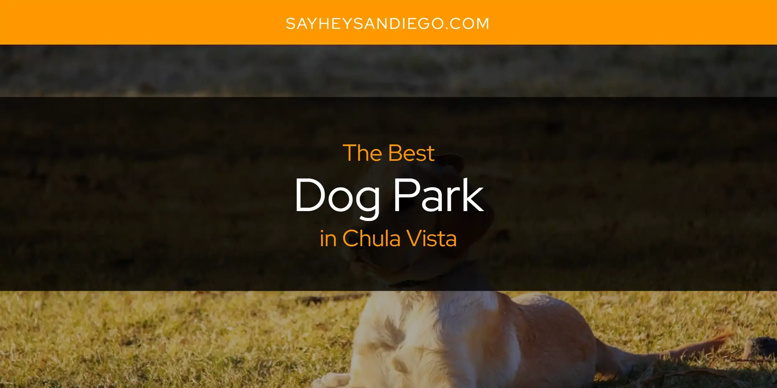 The Absolute Best Dog Park in Chula Vista  [Updated 2024]