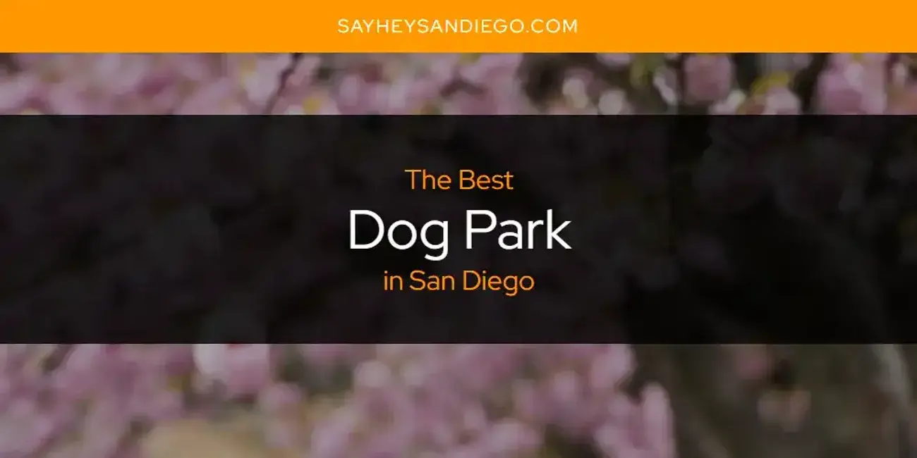 The Absolute Best Dog Park in San Diego  [Updated 2024]