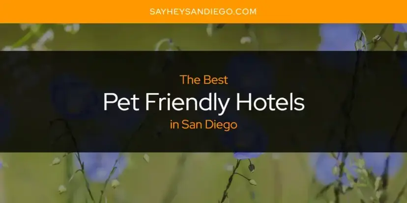 San Diego's Best Pet Friendly Hotels [Updated 2024]