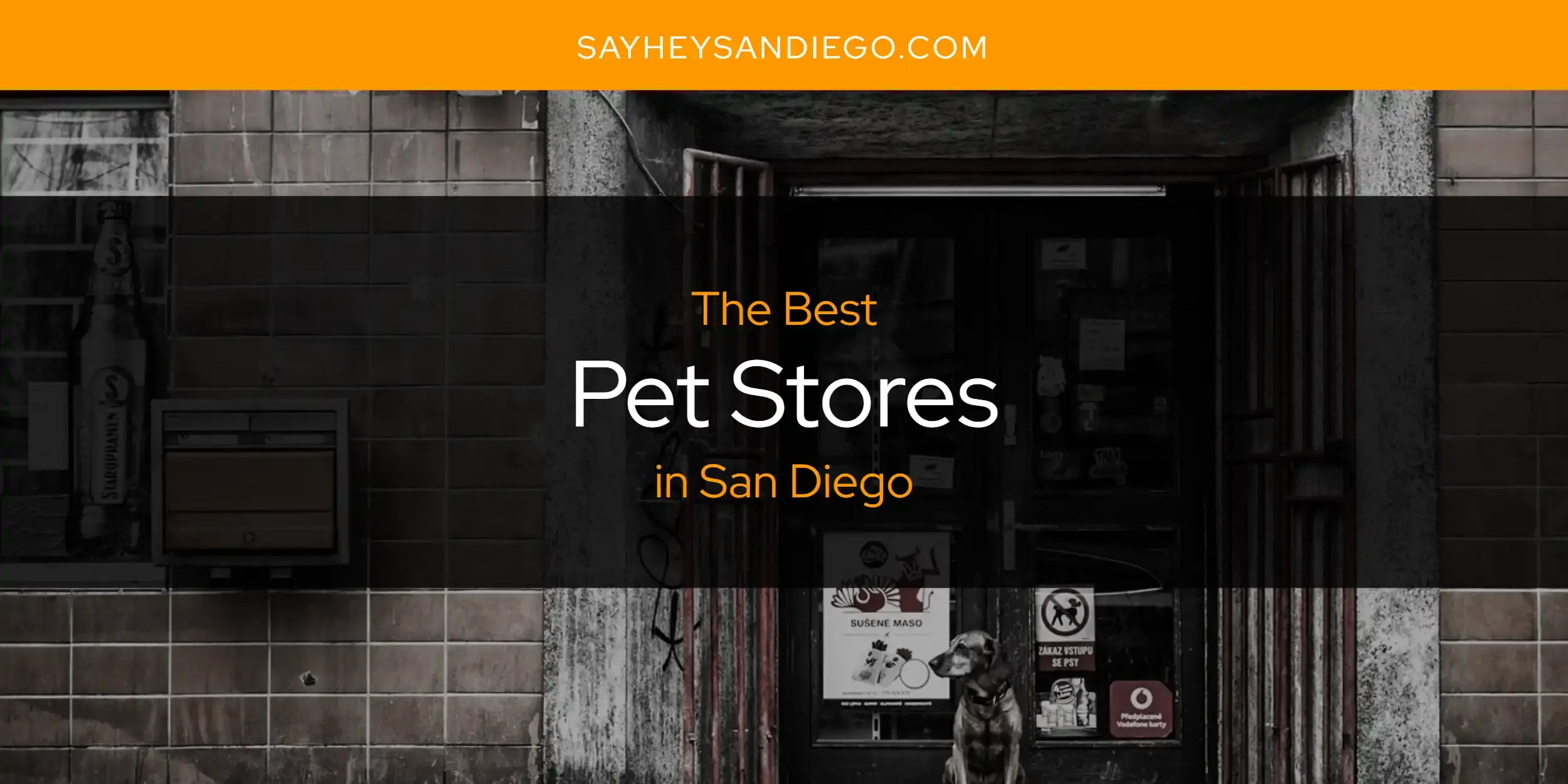 San Diego's Best Pet Stores [Updated 2024]