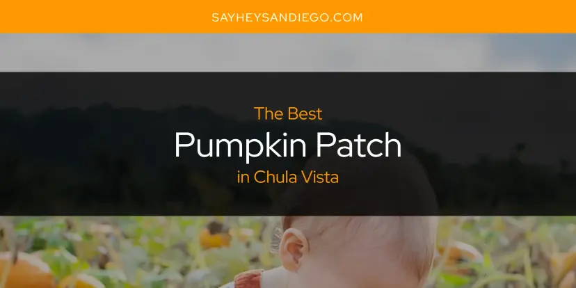Chula Vista's Best Pumpkin Patch [Updated 2024]