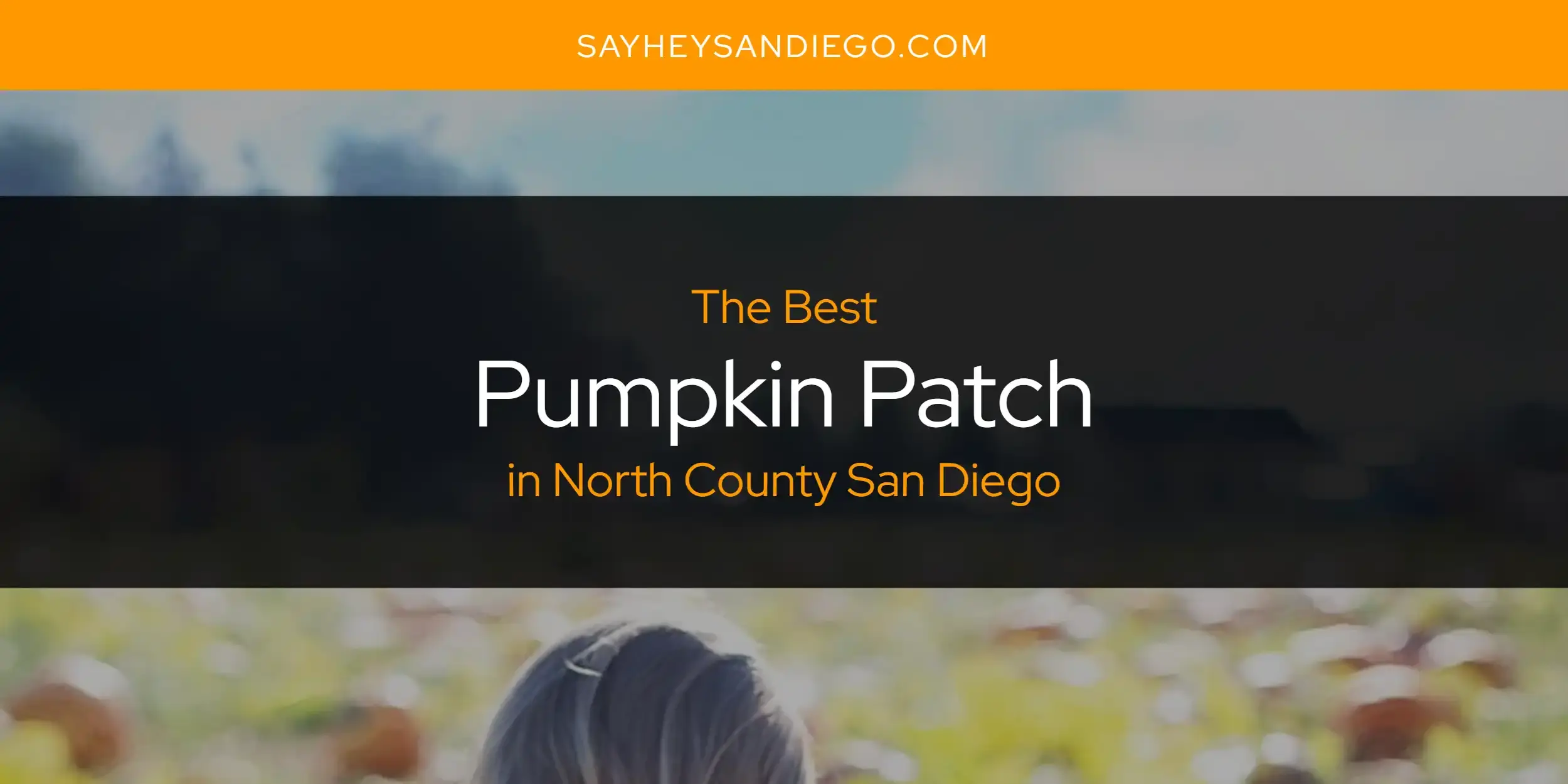 North County San Diego's Best Pumpkin Patch [Updated 2024]