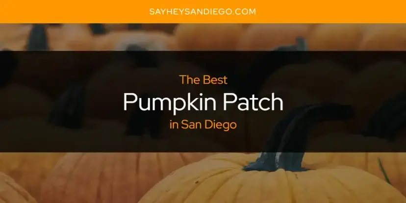 San Diego's Best Pumpkin Patch [Updated 2024]