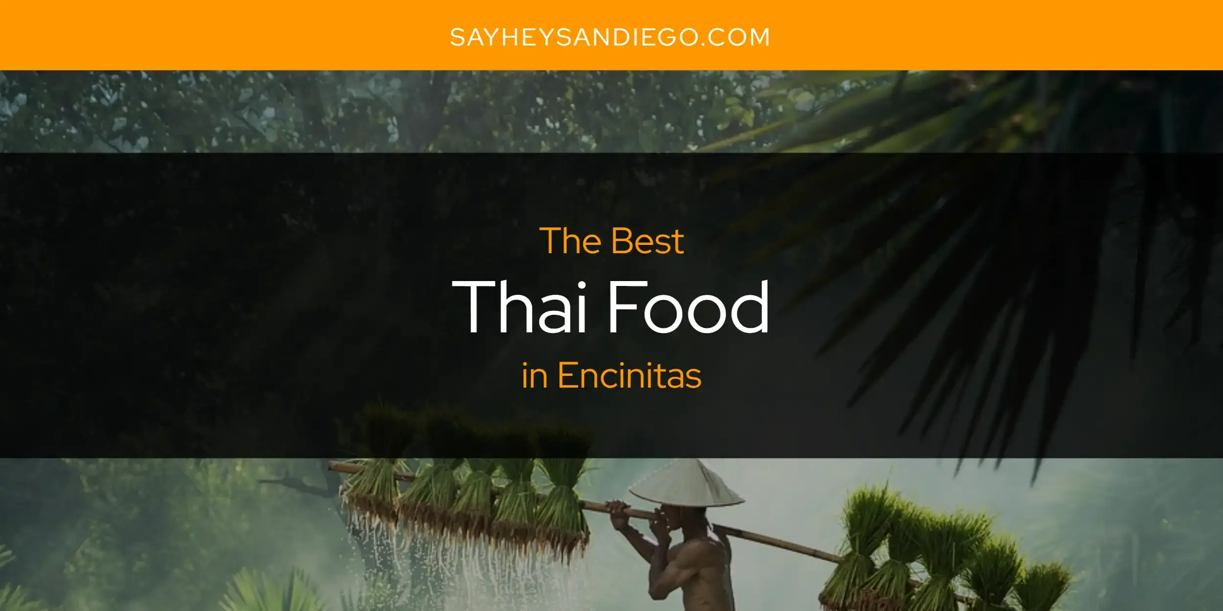 Encinitas' Best Thai Food [Updated 2023]