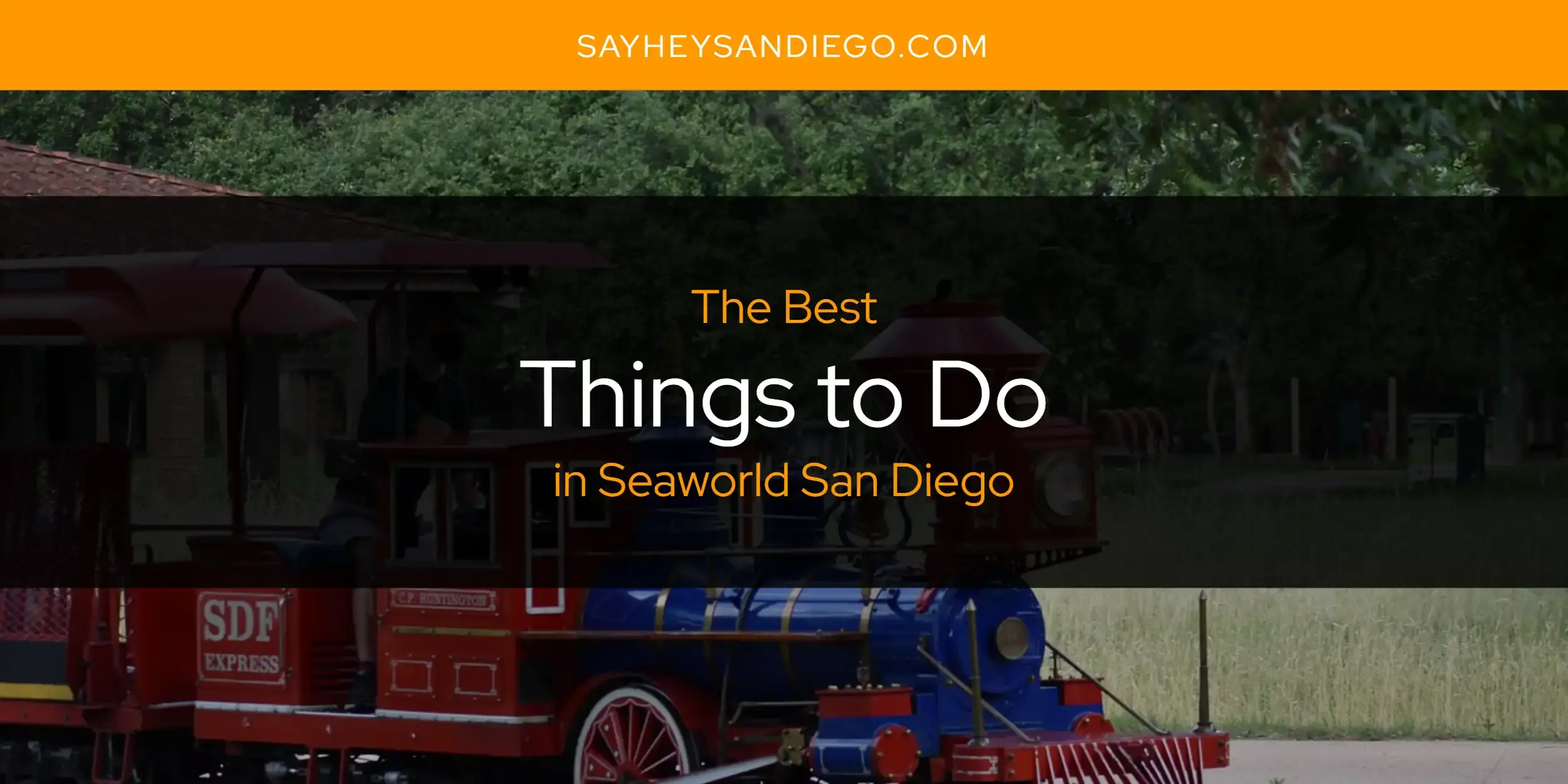 Seaworld San Diego's Best Things to Do [Updated 2023]