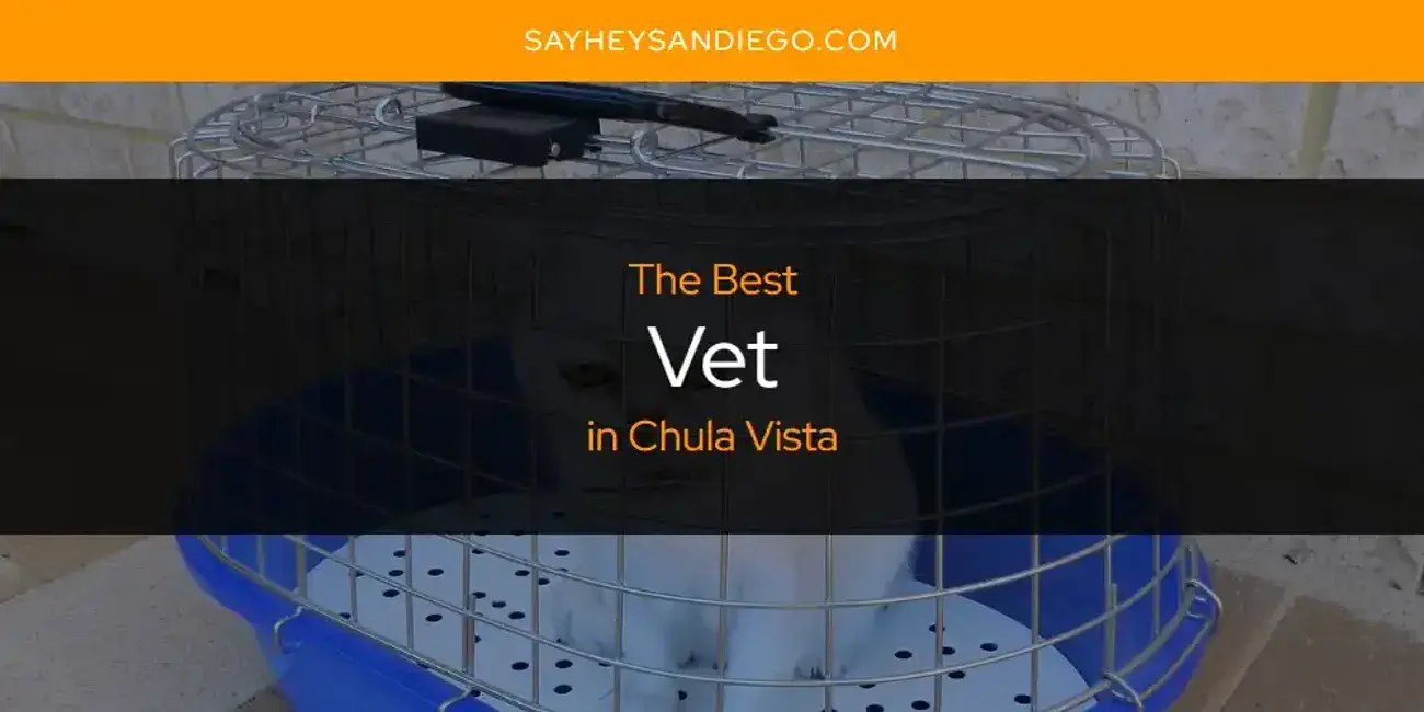 Chula Vista's Best Vet [Updated 2024]