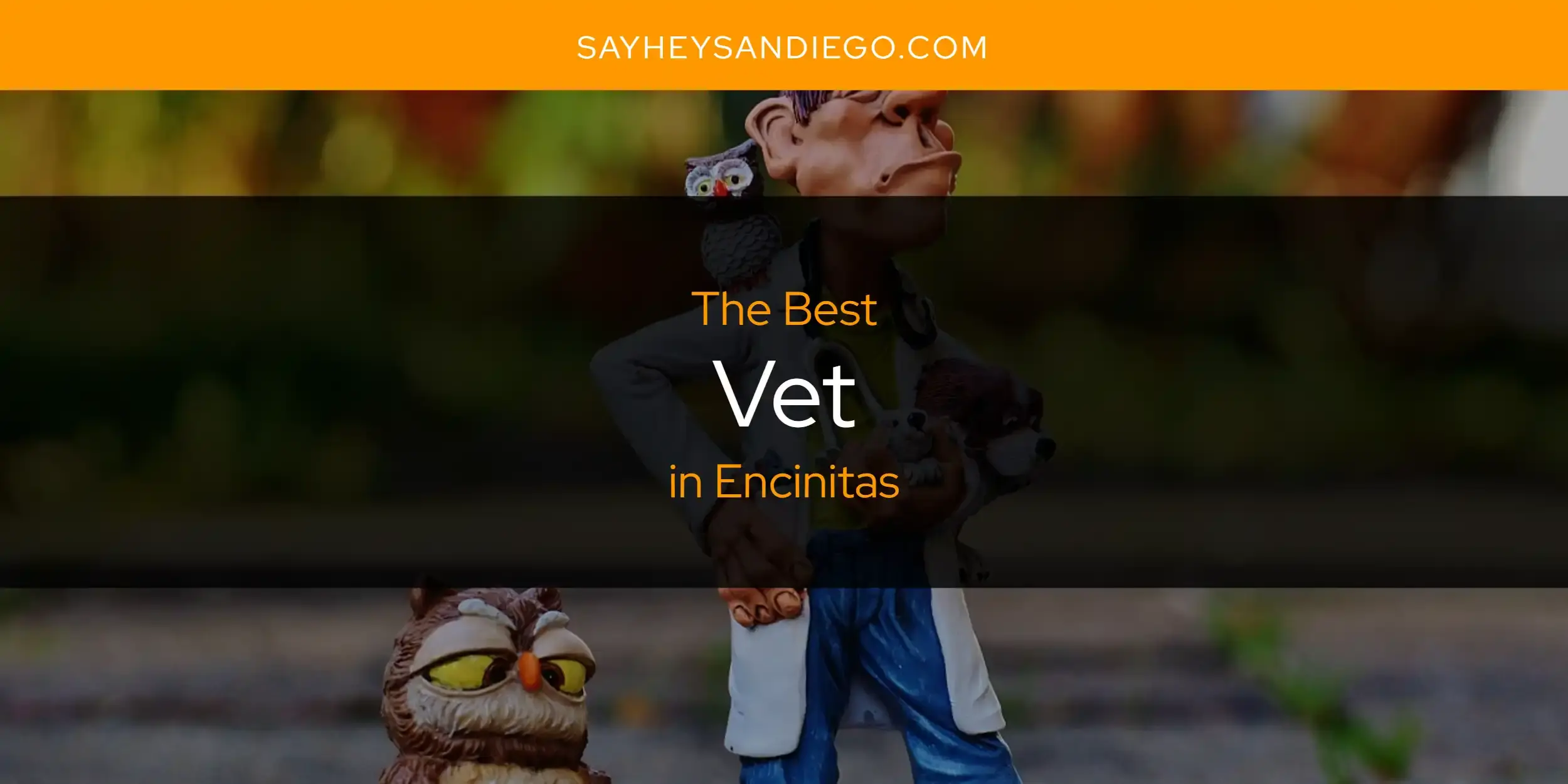 Encinitas' Best Vet [Updated 2024]