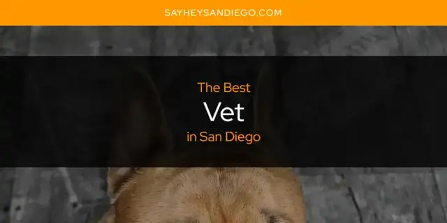 The Best Vet in San Diego [Updated 2023]