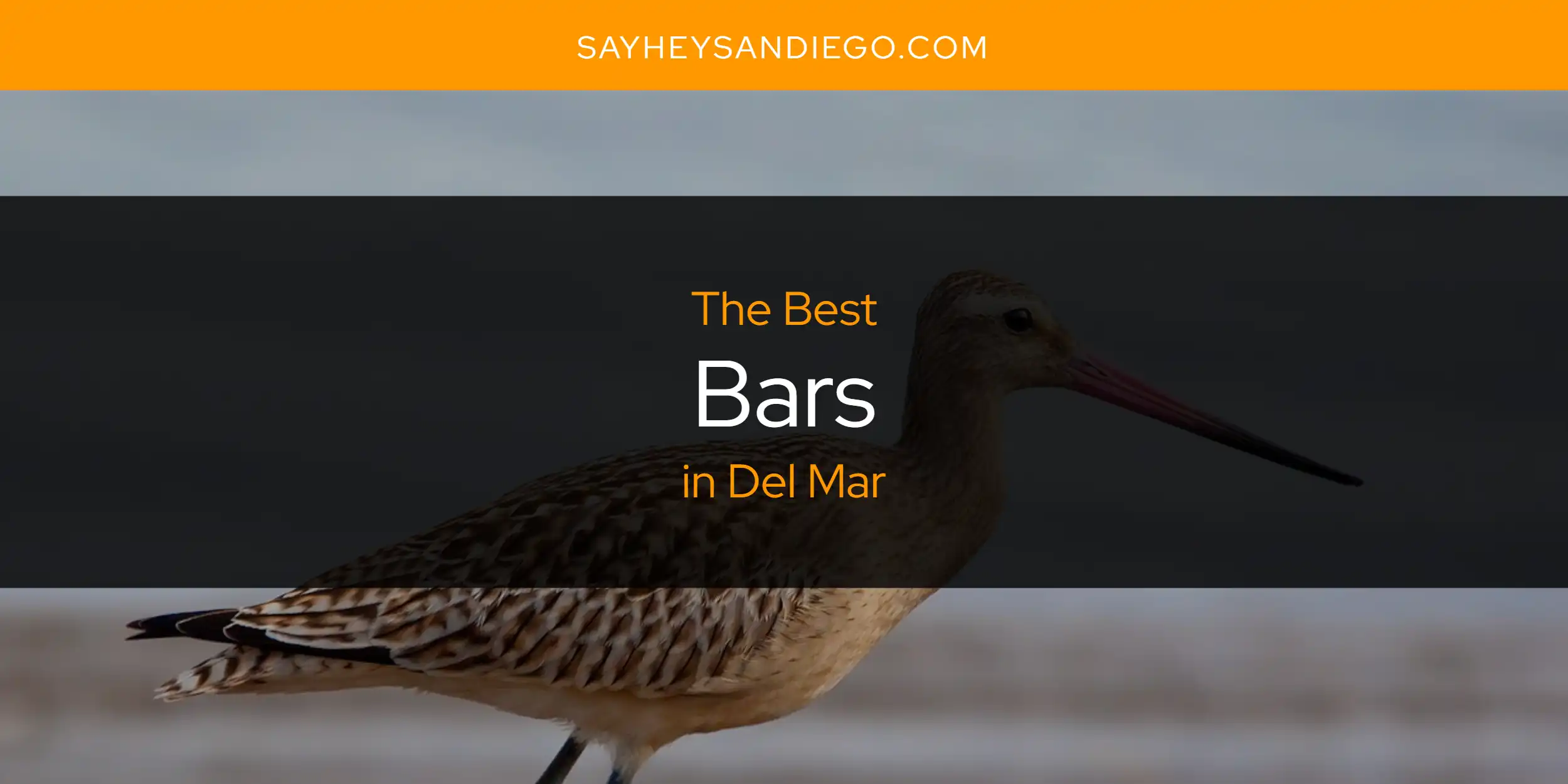 The Absolute Best Bars in Del Mar  [Updated 2025]