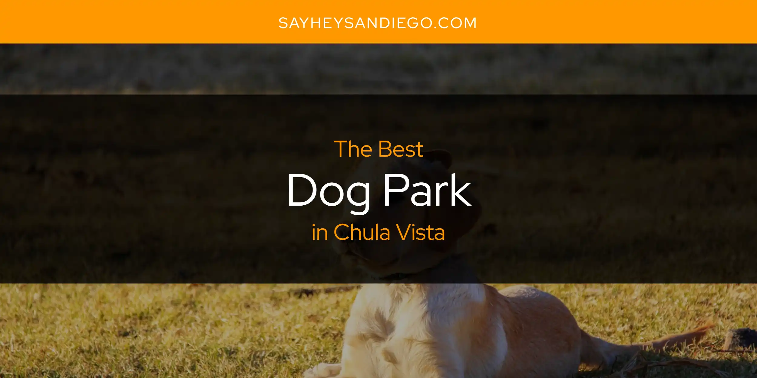 The Absolute Best Dog Park in Chula Vista  [Updated 2025]