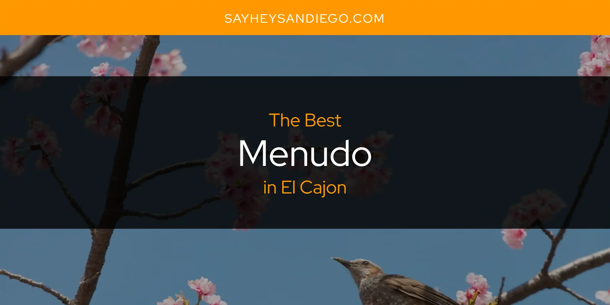 The Absolute Best Menudo in El Cajon  [Updated 2025]