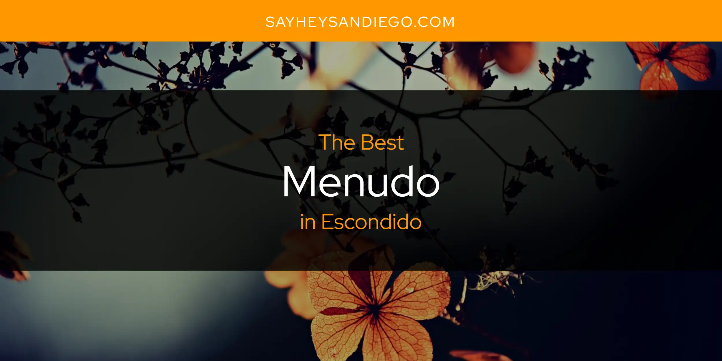 The Absolute Best Menudo in Escondido  [Updated 2025]