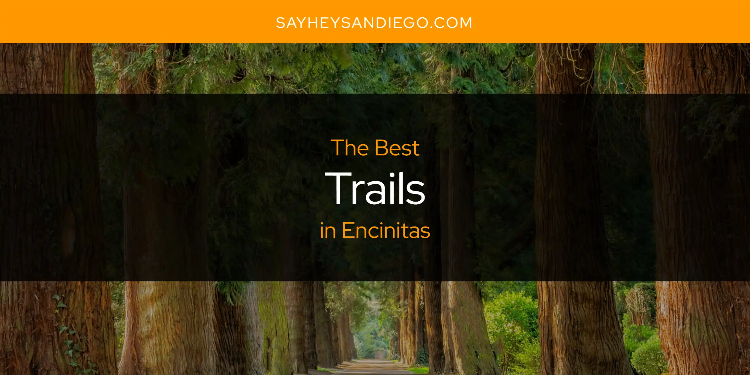 The Absolute Best Trails in Encinitas  [Updated 2025]