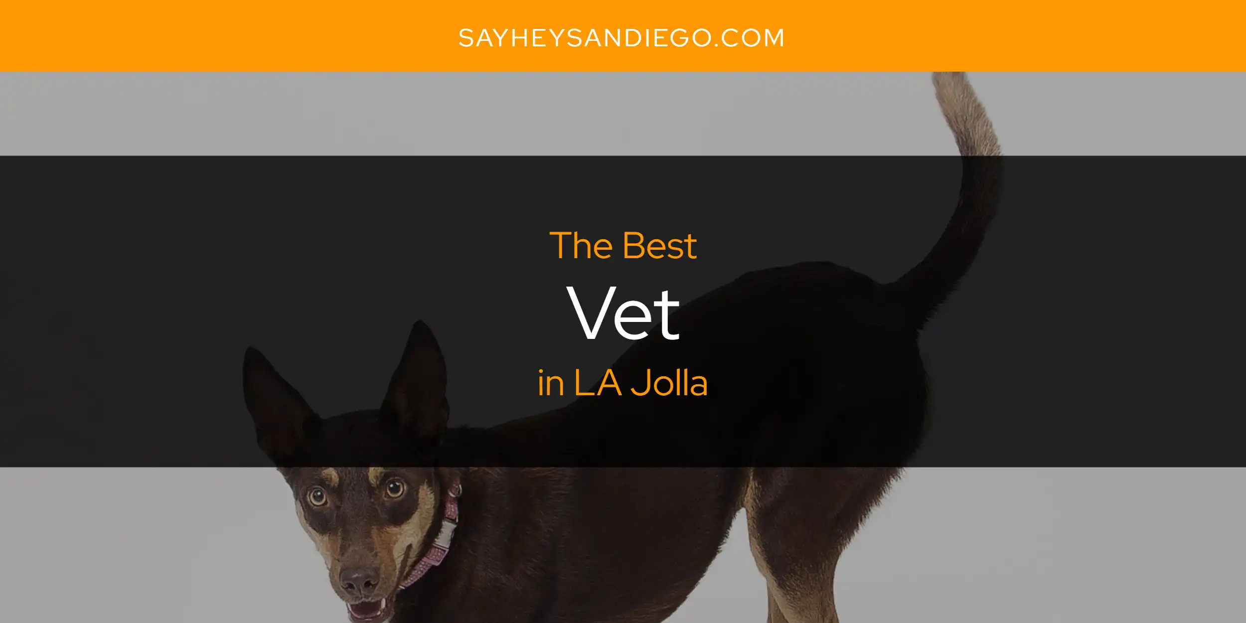 LA Jolla's Best Vet [Updated 2025]