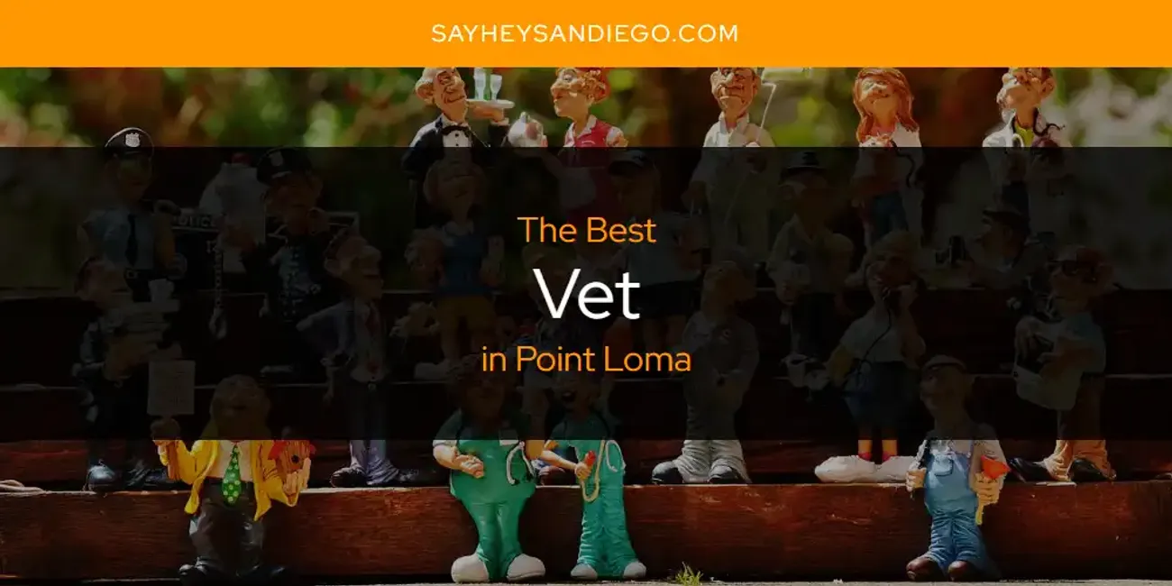 Point Loma's Best Vet [Updated 2025]